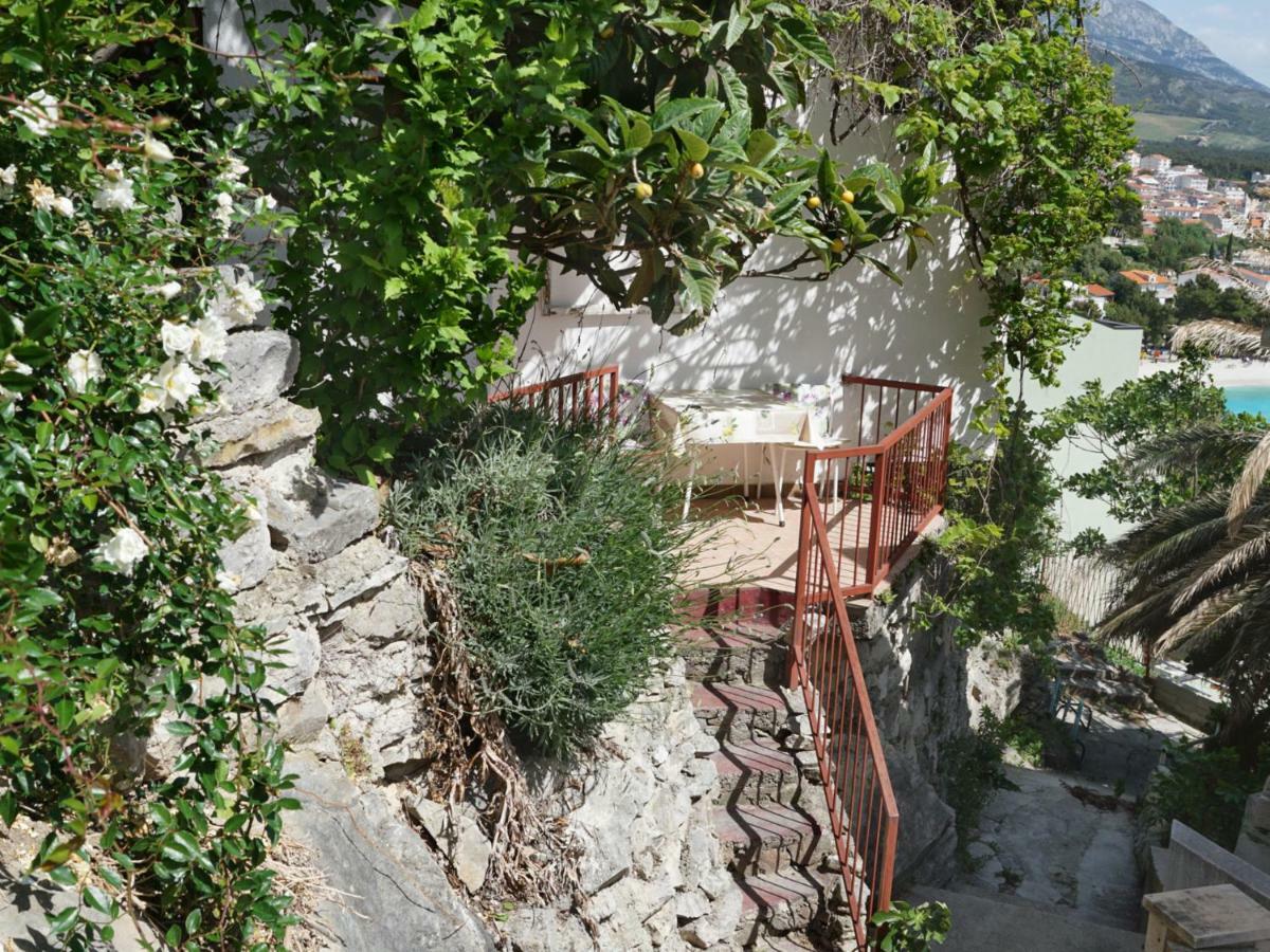 Feral Apartment